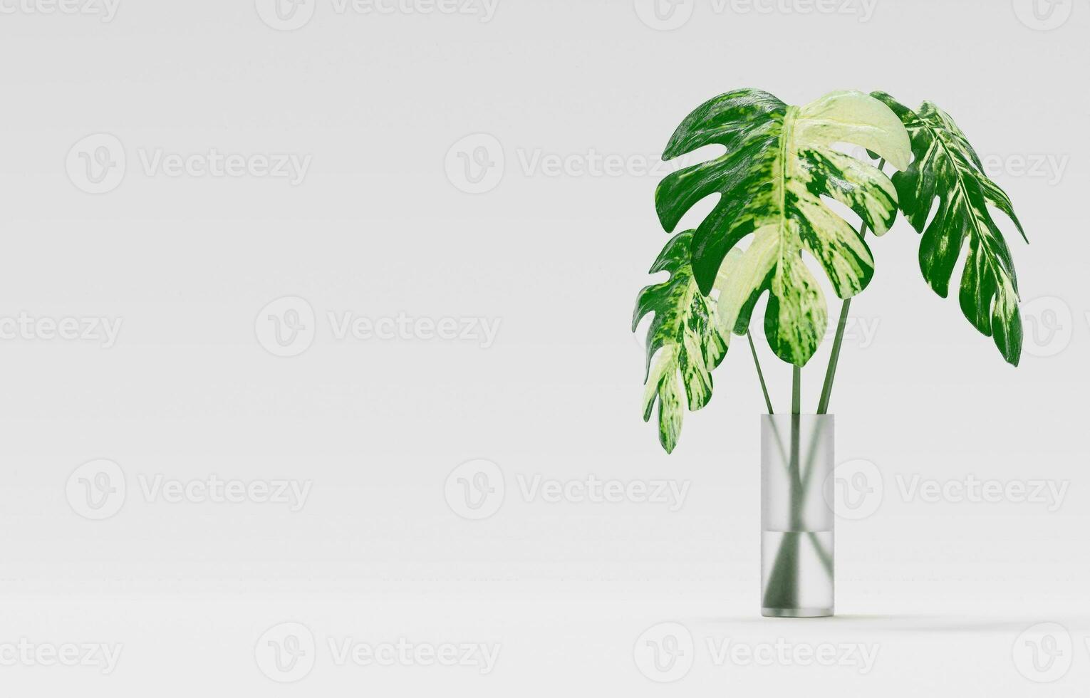 Monstera Leaf, Tropical Botanical Plant in Stylish Decorative Design Isolated on Empty Background photo