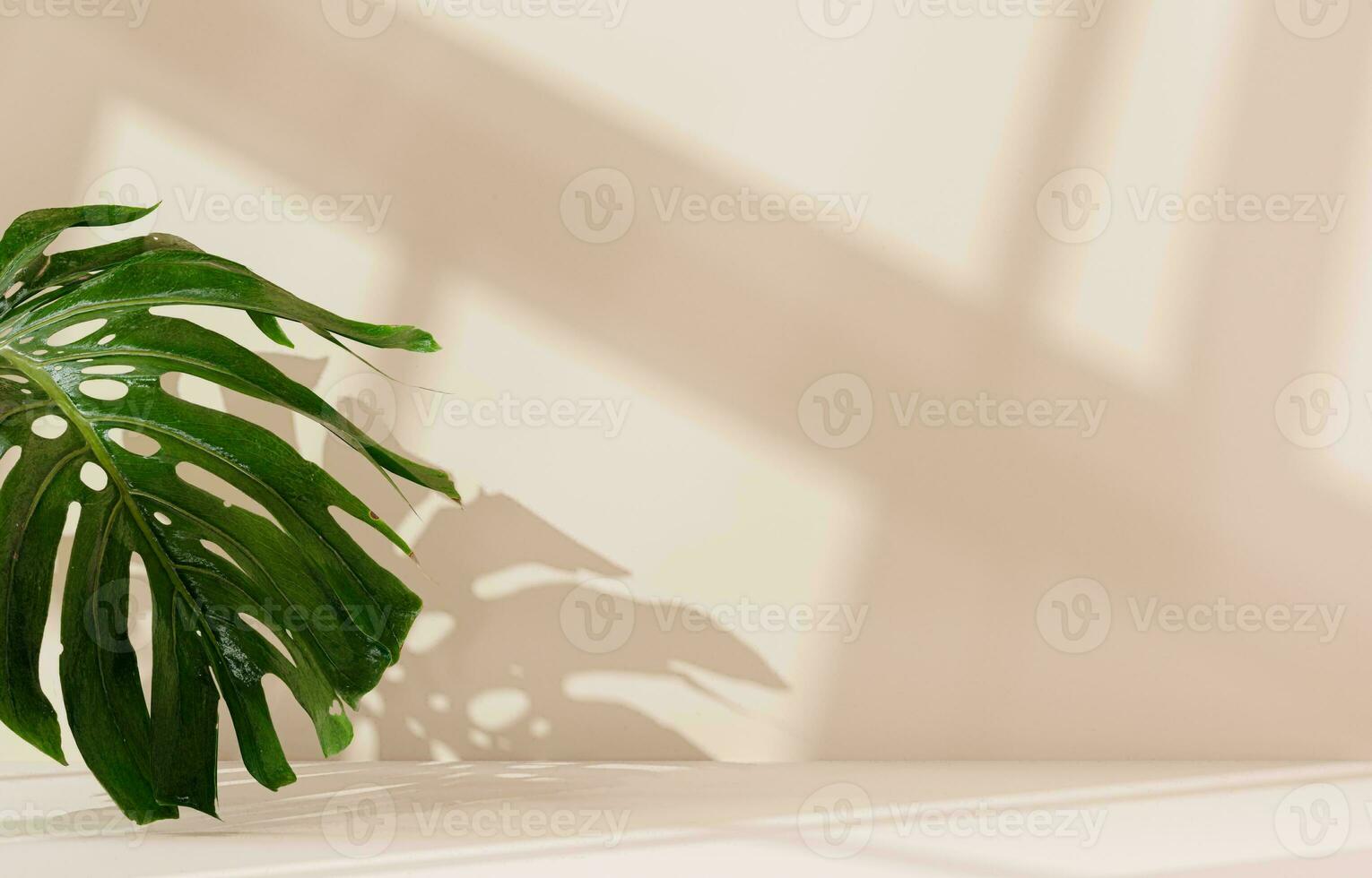 Monstera Leaf, Tropical Botanical Plant in Stylish Decorative Design Isolated on Empty Background photo