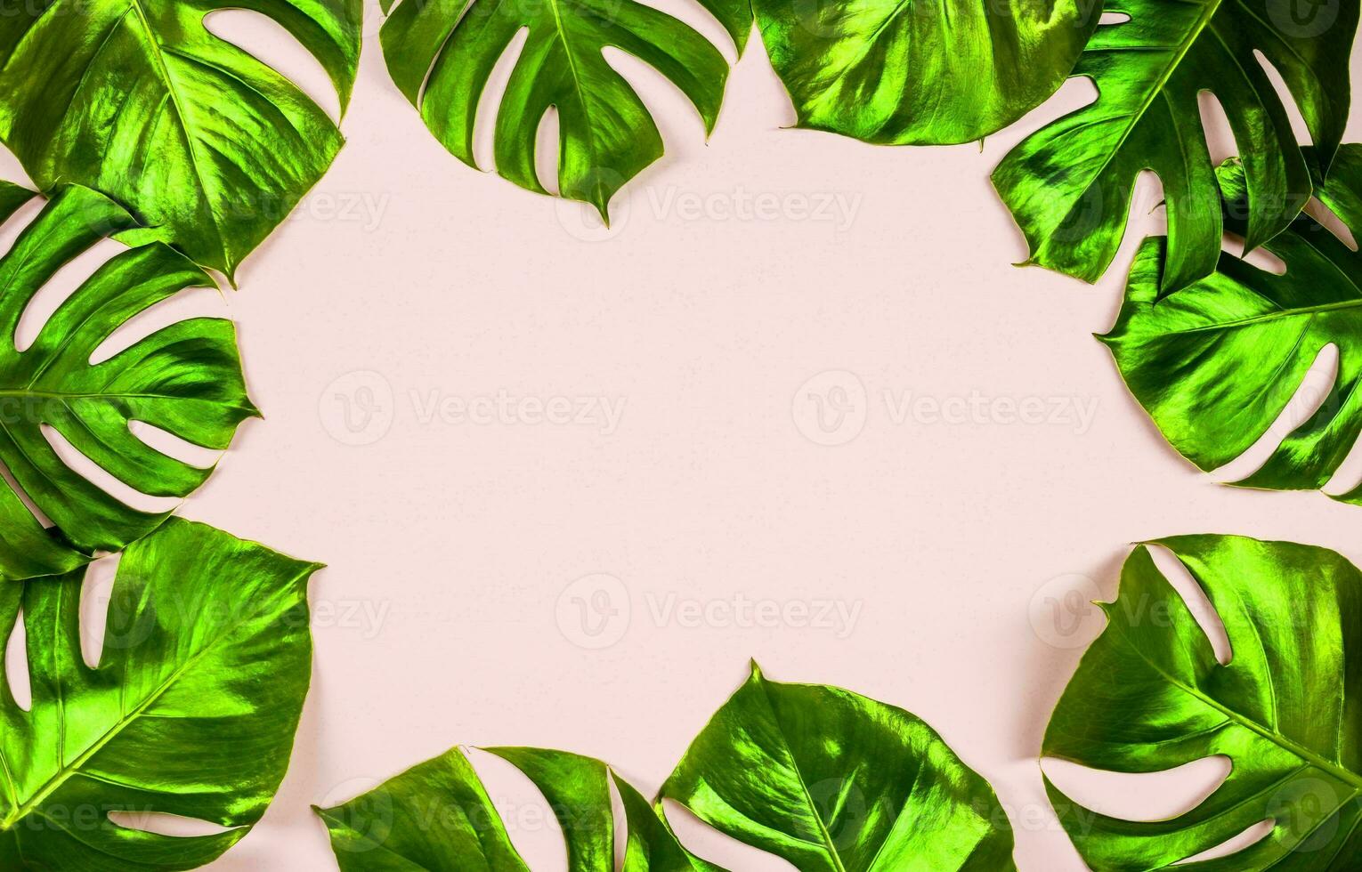 Monstera Leaf, Tropical Botanical Plant in Stylish Decorative Design Isolated on Empty Background photo