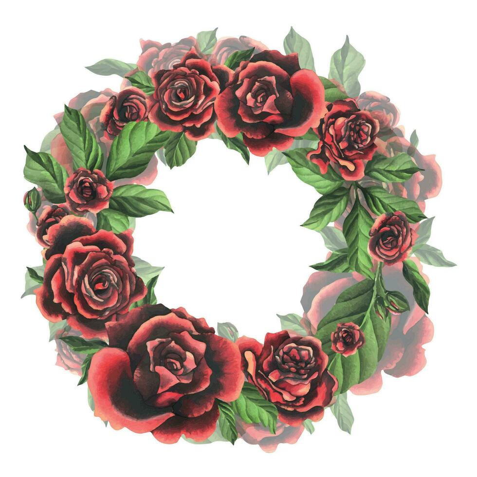 negro rojo Rosa flores con verde hojas y brotes, elegante, brillante, hermosa. mano dibujado acuarela ilustración. circulo guirnalda, marco, modelo en un blanco fondo, para decoración y diseño. vector