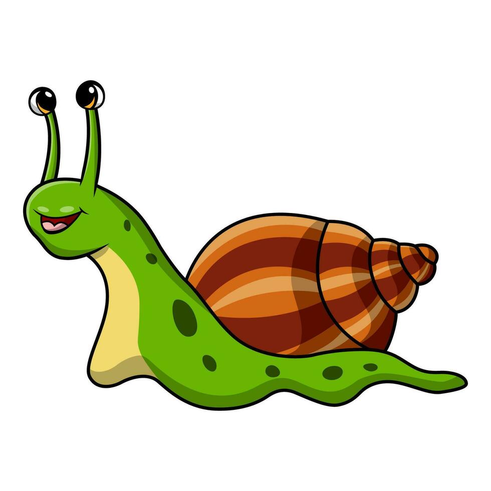 Cute snail cartoon on white background vector