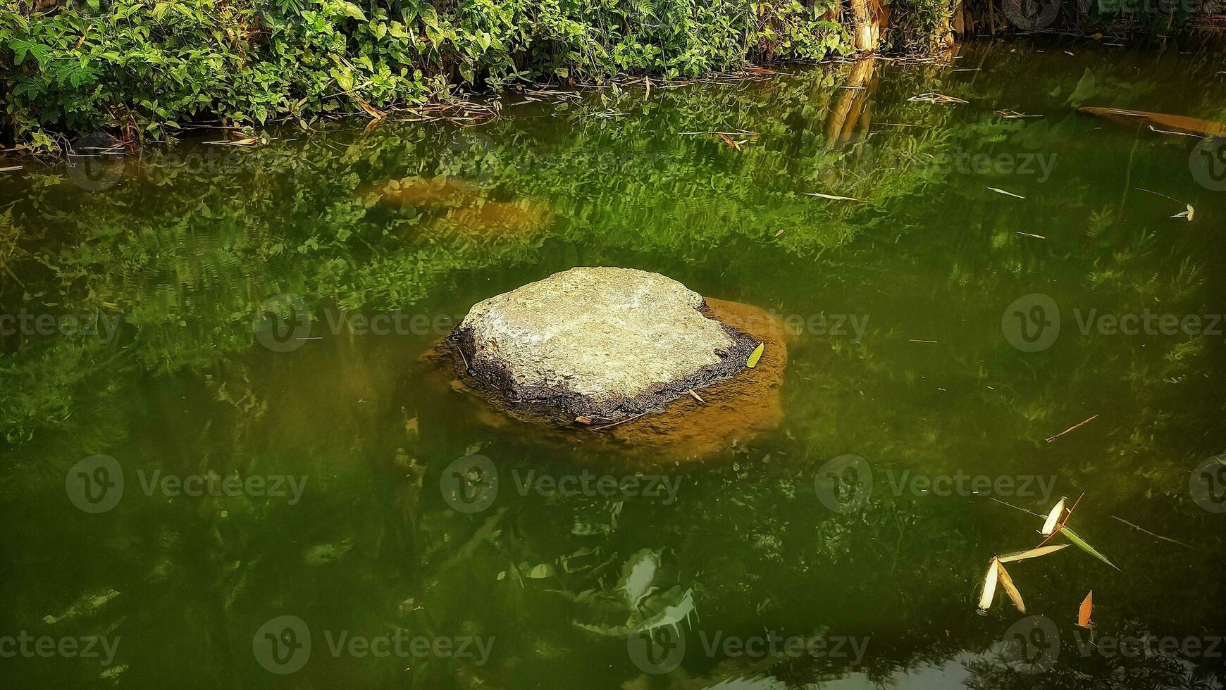 a rock in the water near a pond photo