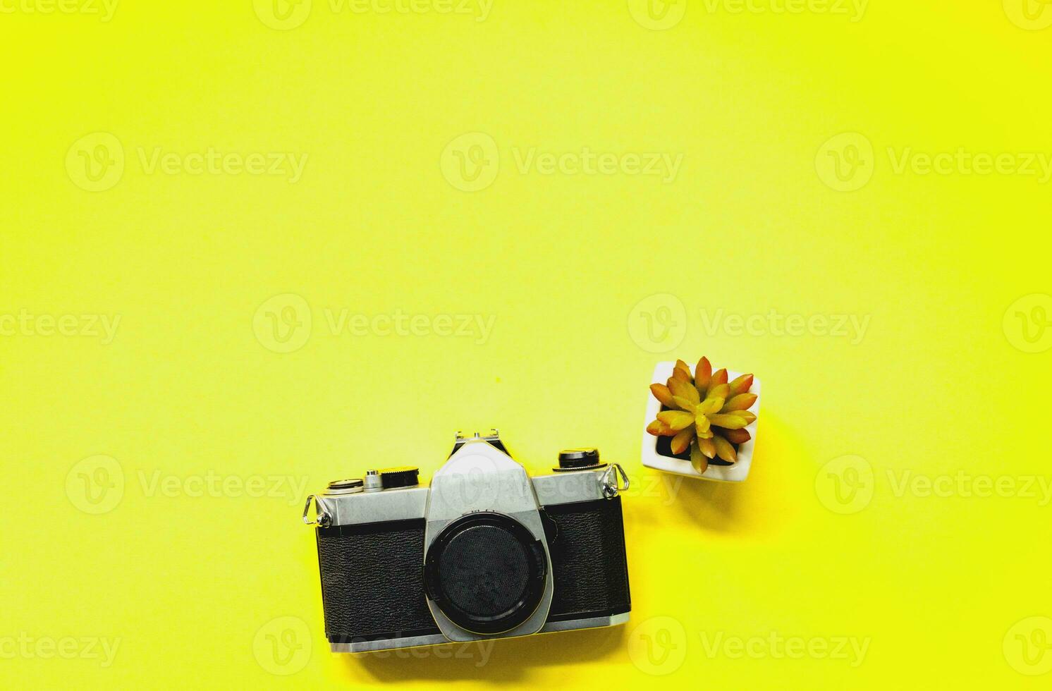 top view of vintage camera and plant on yellow background flat lay photo