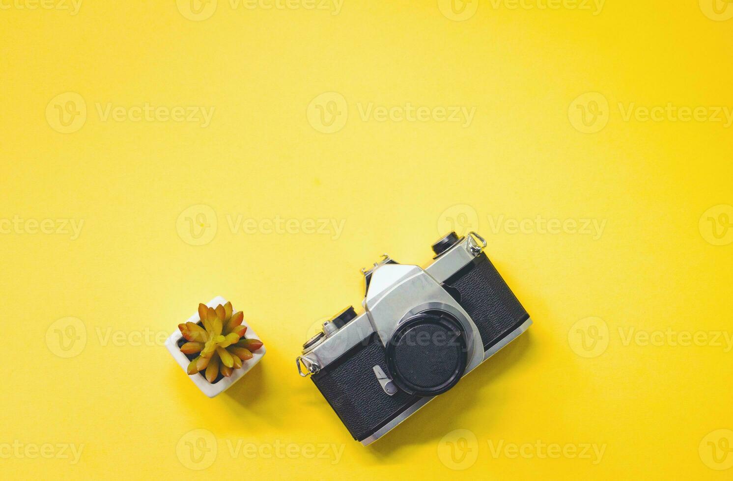 top view of vintage camera and succulent plant on yellow background flat lay photo