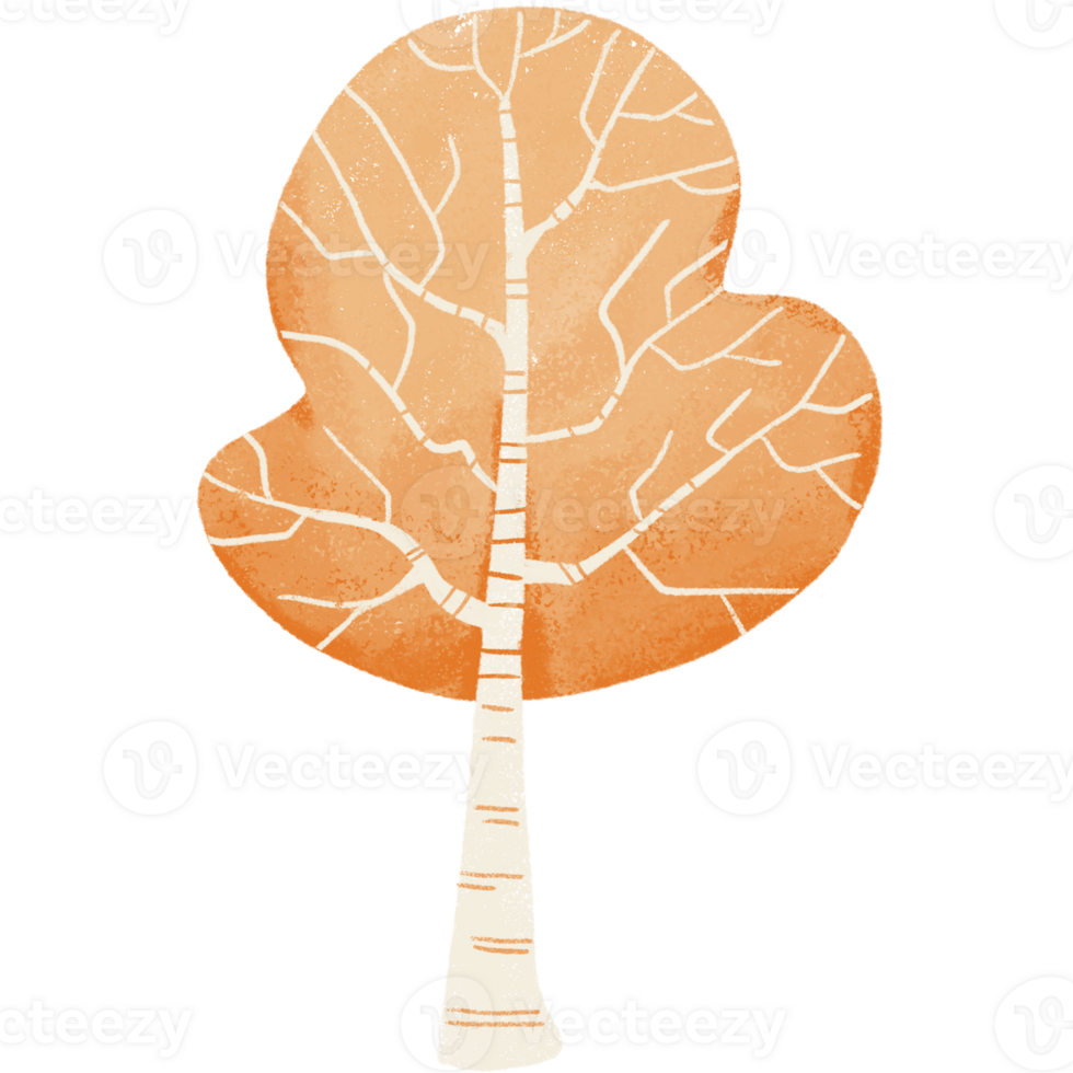 Orange tree clipart, tree element, tree drawing png
