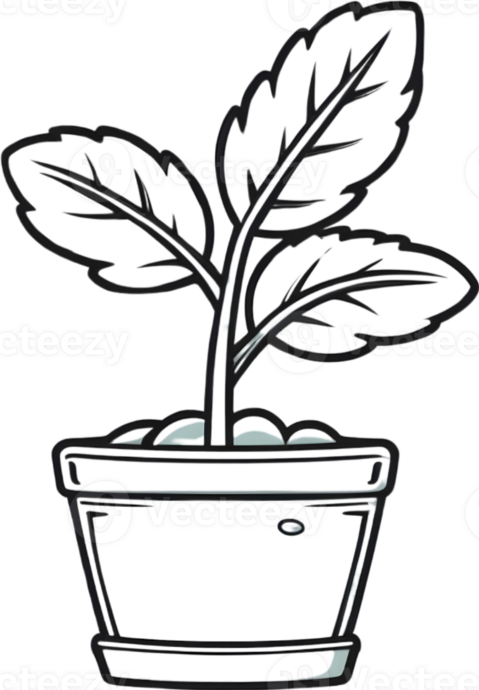 AI generated plant in a pot clipart png