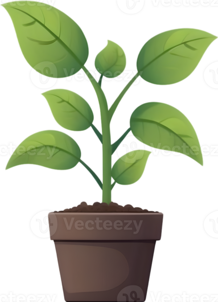 AI generated plant in a pot clipart png