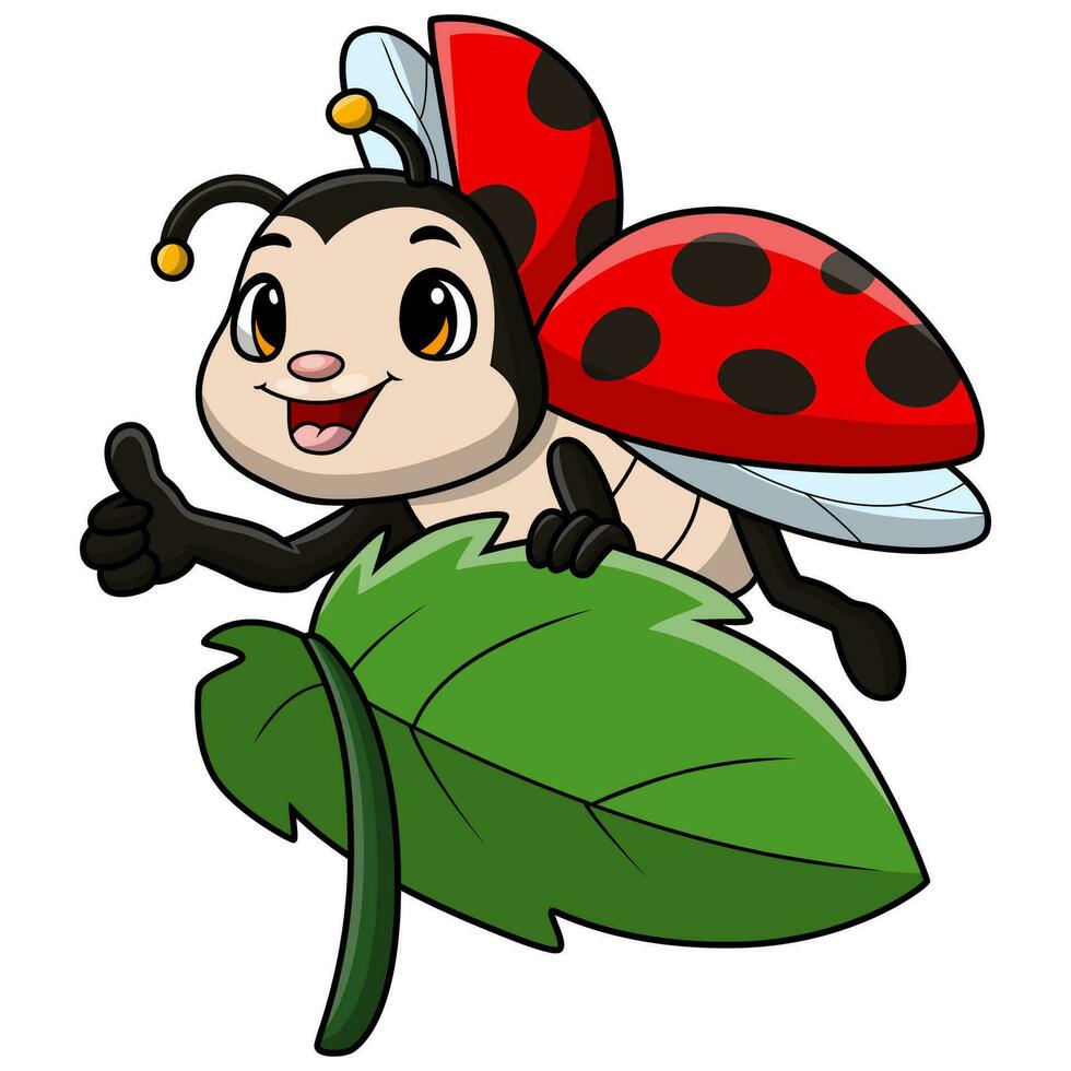 Cute ladybug cartoon on white background vector