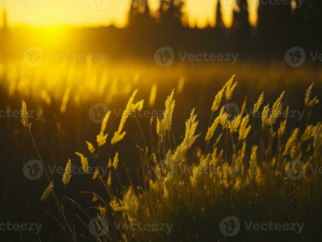 AI generated Abstract soft focus sunset field landscape of yellow flowers and grass meadow warm golden hour sunset sunrise time. Tranquil spring summer nature closeup and blurred forest background. photo