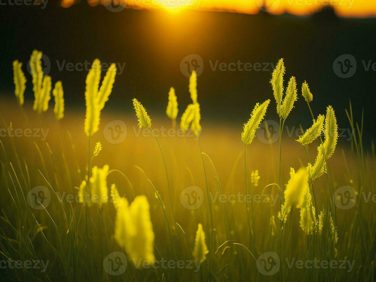 AI generated Abstract soft focus sunset field landscape of yellow flowers and grass meadow warm golden hour sunset sunrise time. Tranquil spring summer nature closeup and blurred forest background. photo