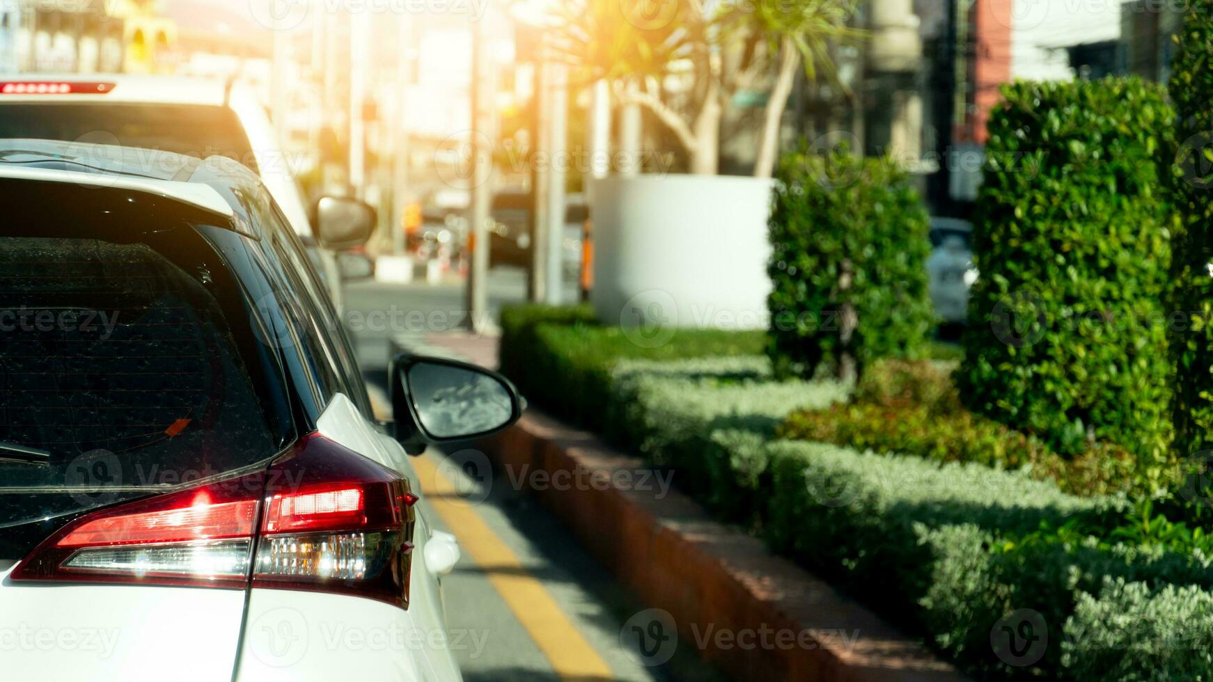 Rear side of white car with turn on brake light. Stop on the road by traffic control. Long queue from the car in front. Beside with island of green grass and trees in the city. photo