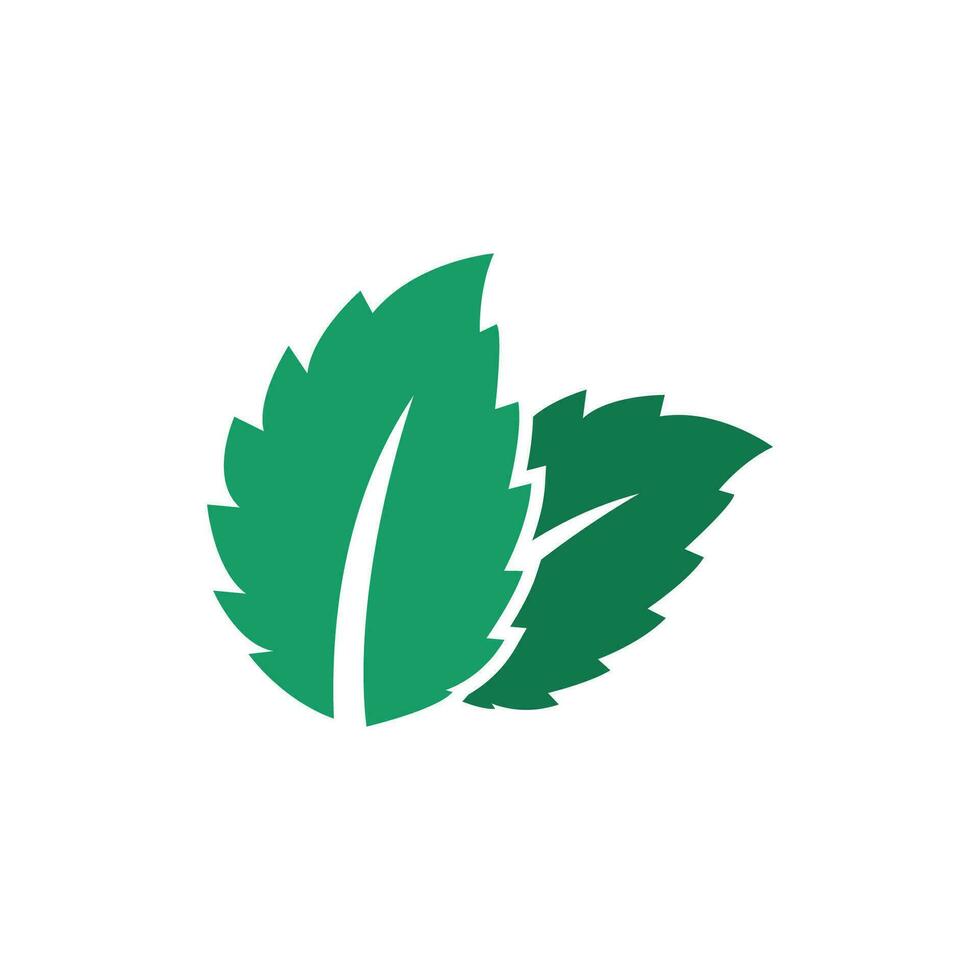 Natural leaf mint logo vector template symbol design