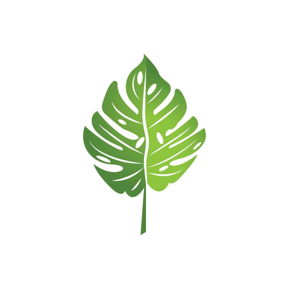 Monstera logo vector template symbol design