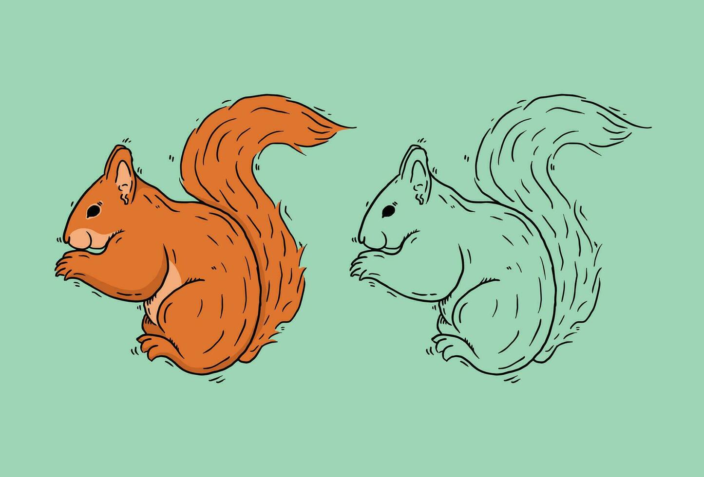 squirrel vector illustration animal
