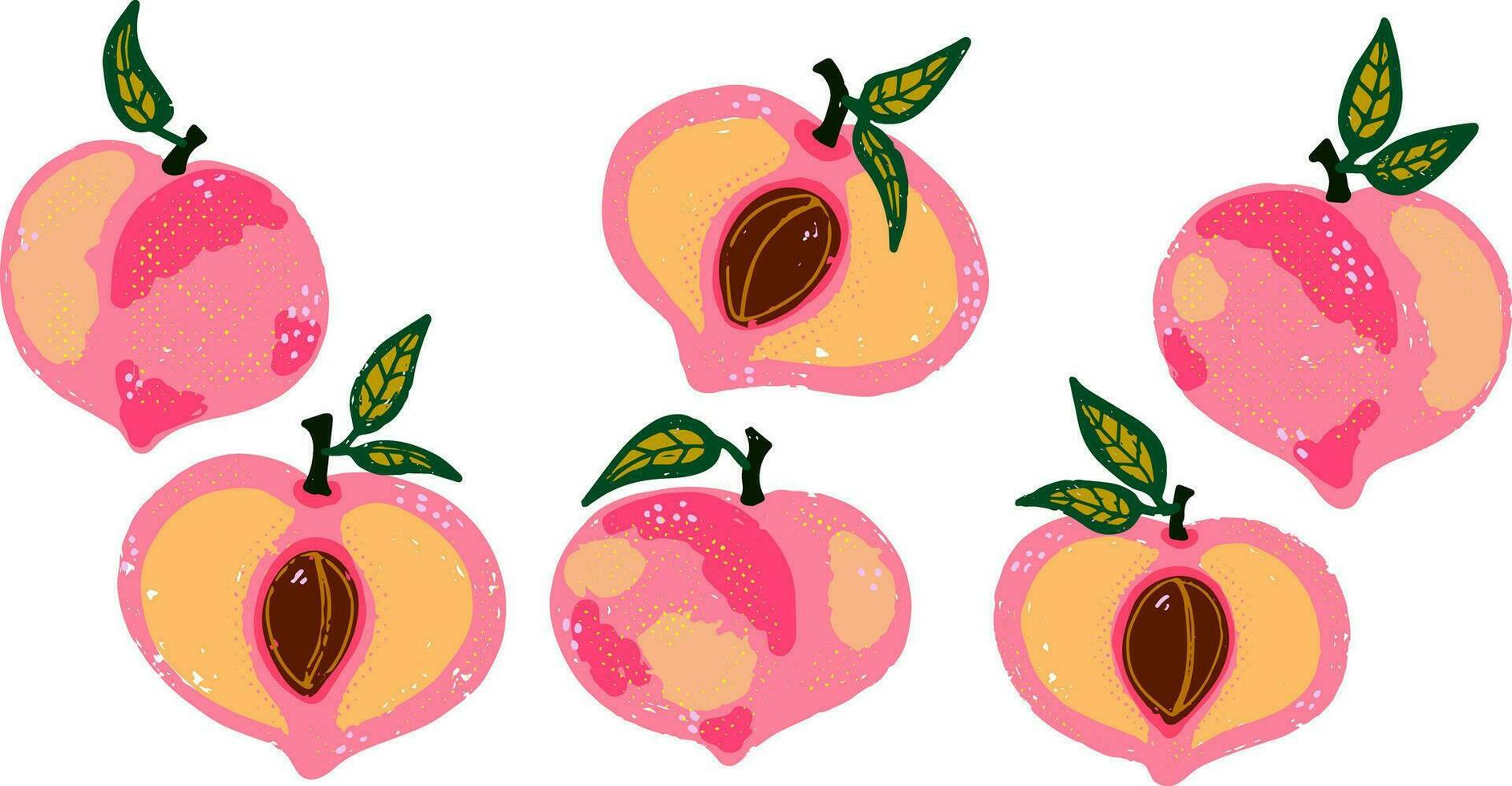 peach clip art vector