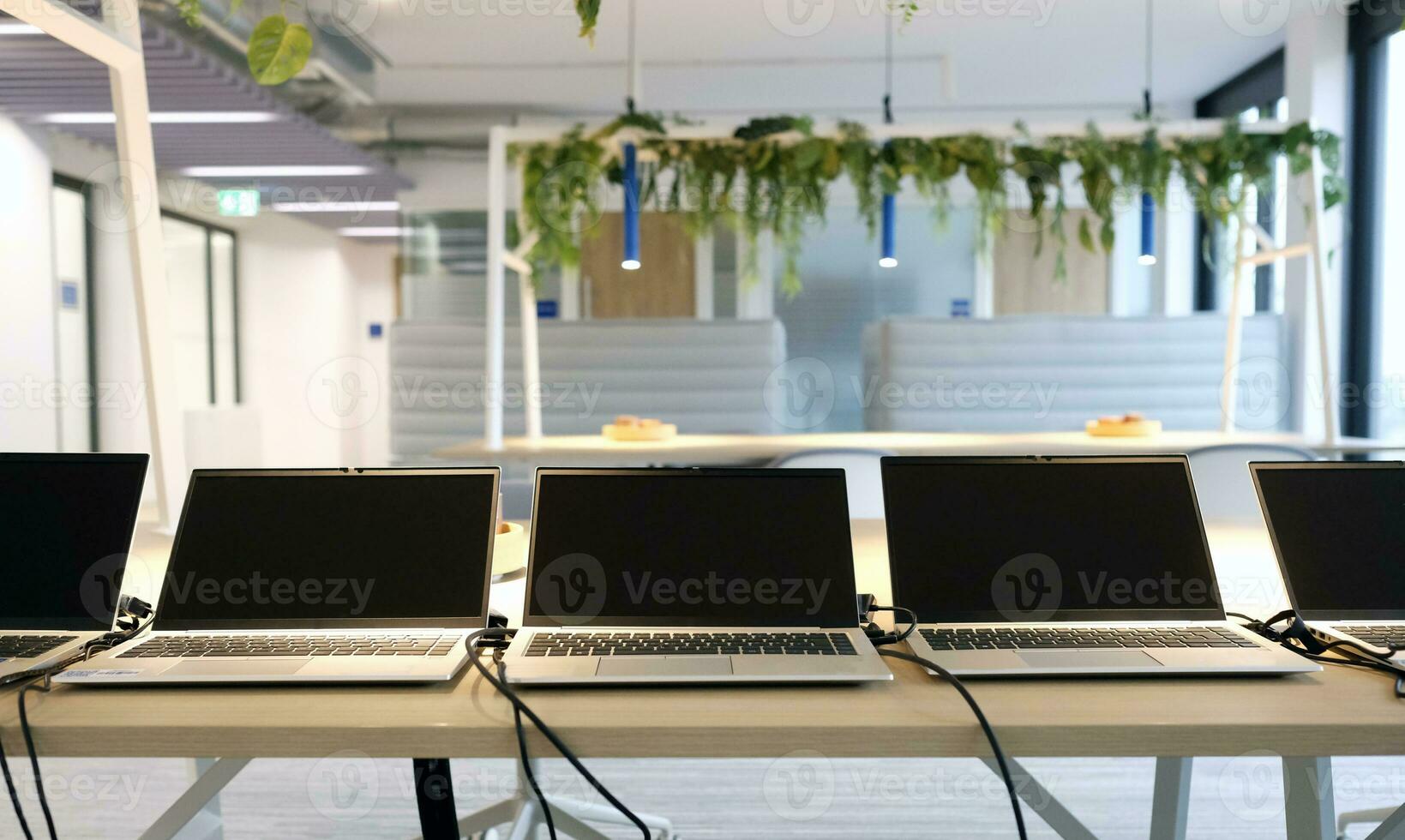 Row of laptops being prepared and set up for new employees in a company photo