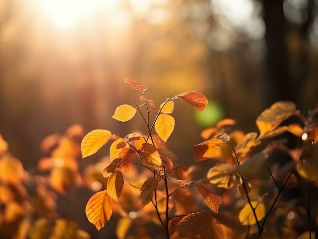 AI generated Abstract empty wooden desk tabletop with copy space over autumn trees blurred background, display for product montage, Generative Ai photo