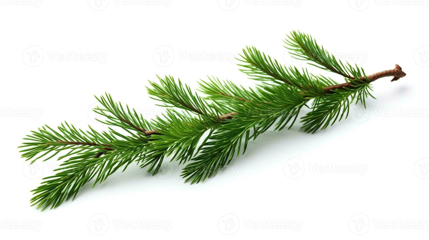 AI generated Spruce Branch Isolated on the White Background, Christmas Event photo