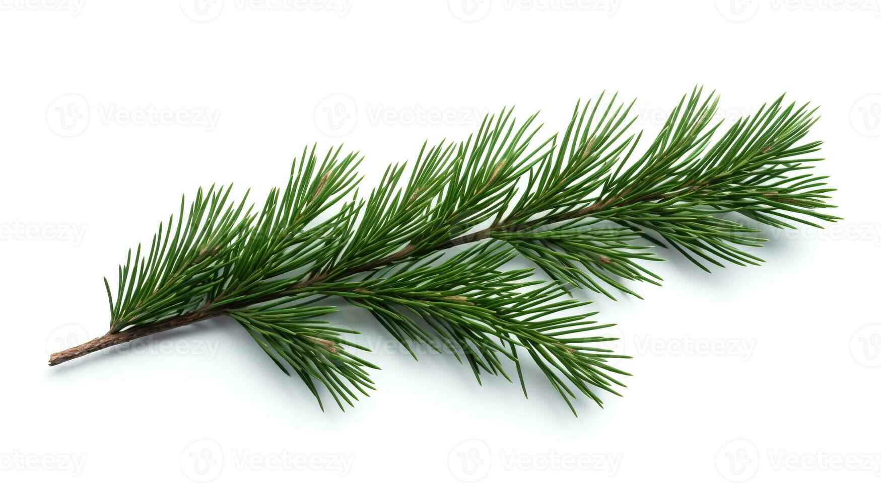 AI generated Spruce Branch Isolated on the White Background, Christmas Event photo