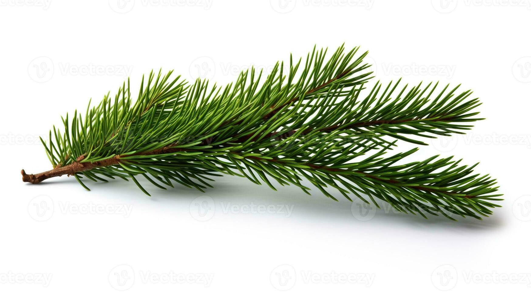 AI generated Spruce Branch Isolated on the White Background, Christmas Event photo