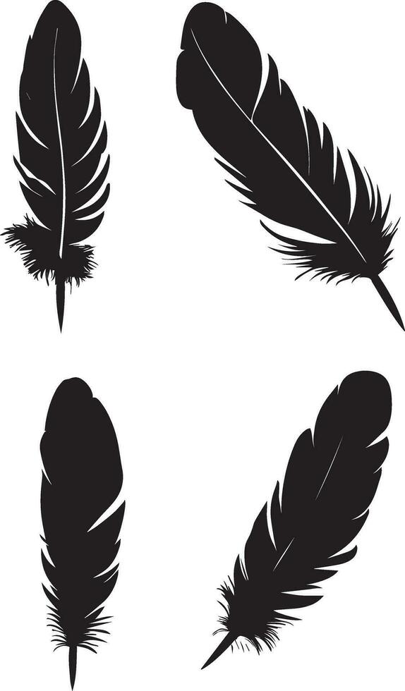 Black Feather vector silhouette illustration