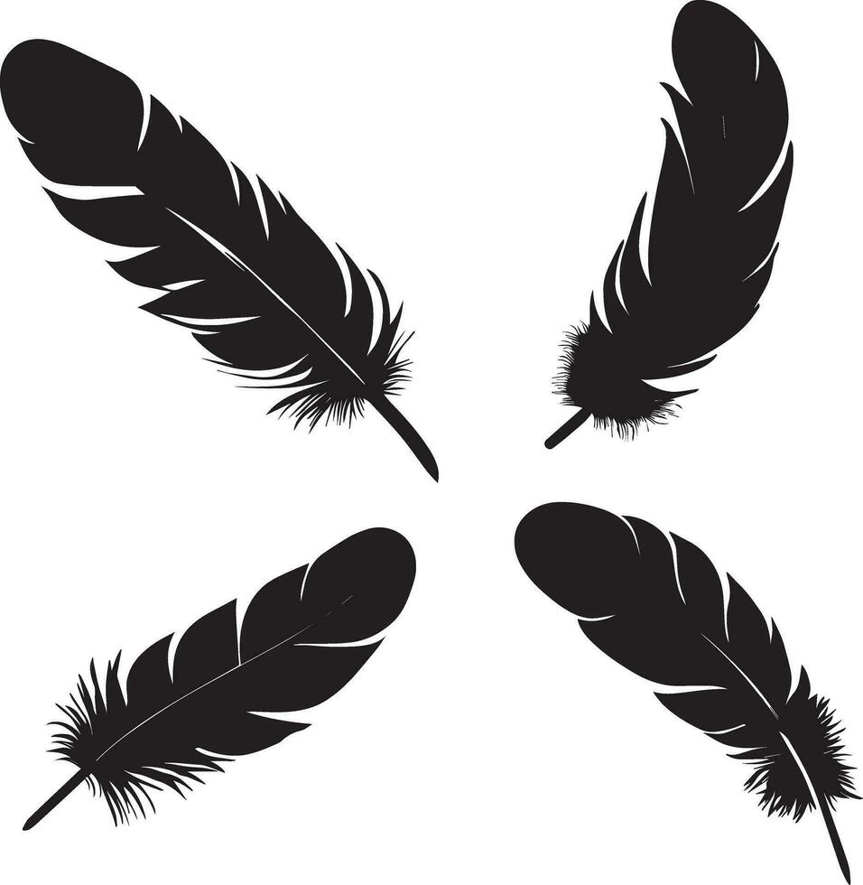 Black Feather vector silhouette illustration 3