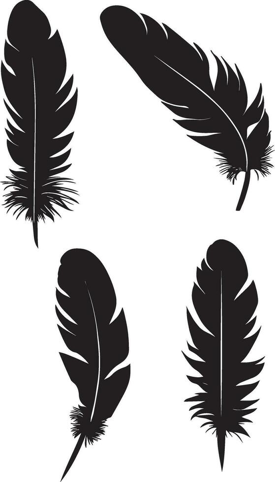 negro pluma vector silueta ilustración 2