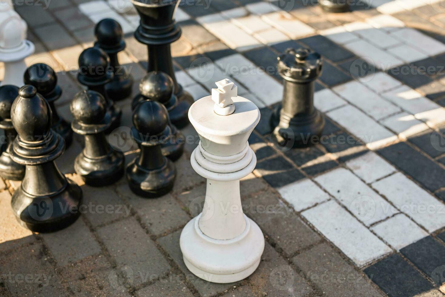 Playing Giant chess photo