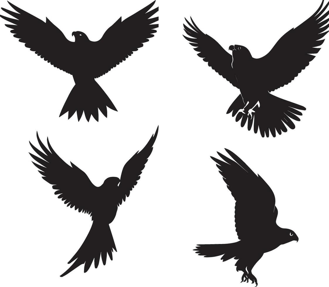 Flying bird vector silhouette