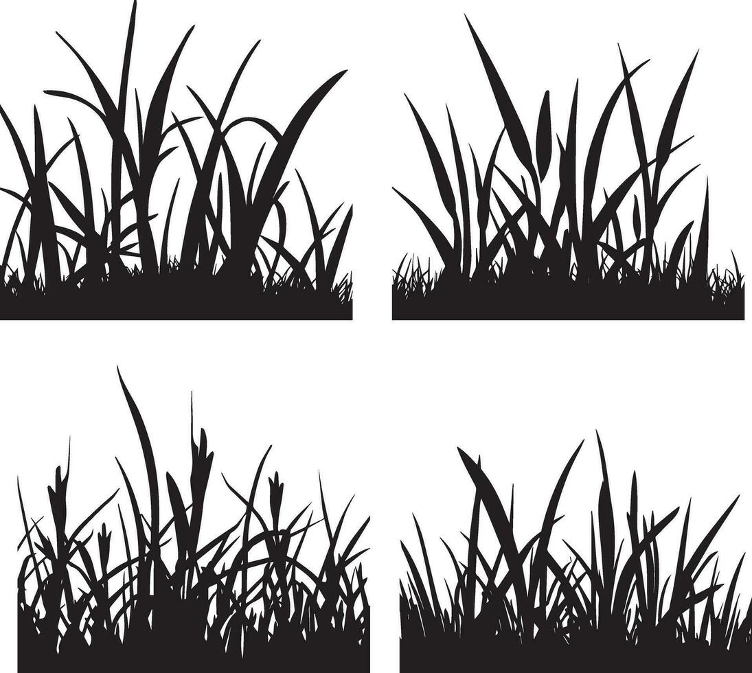 Grass vector silhouette illustration 2