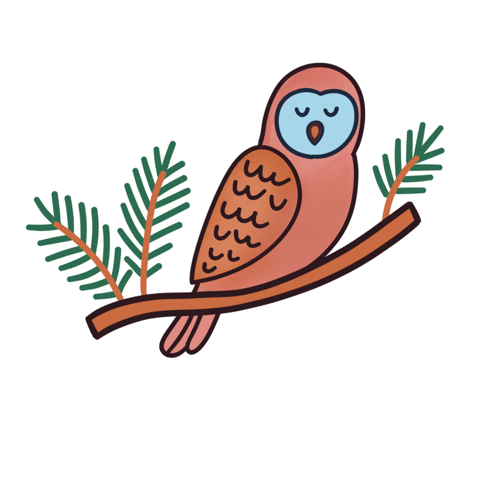 Owl bird Cartoon png