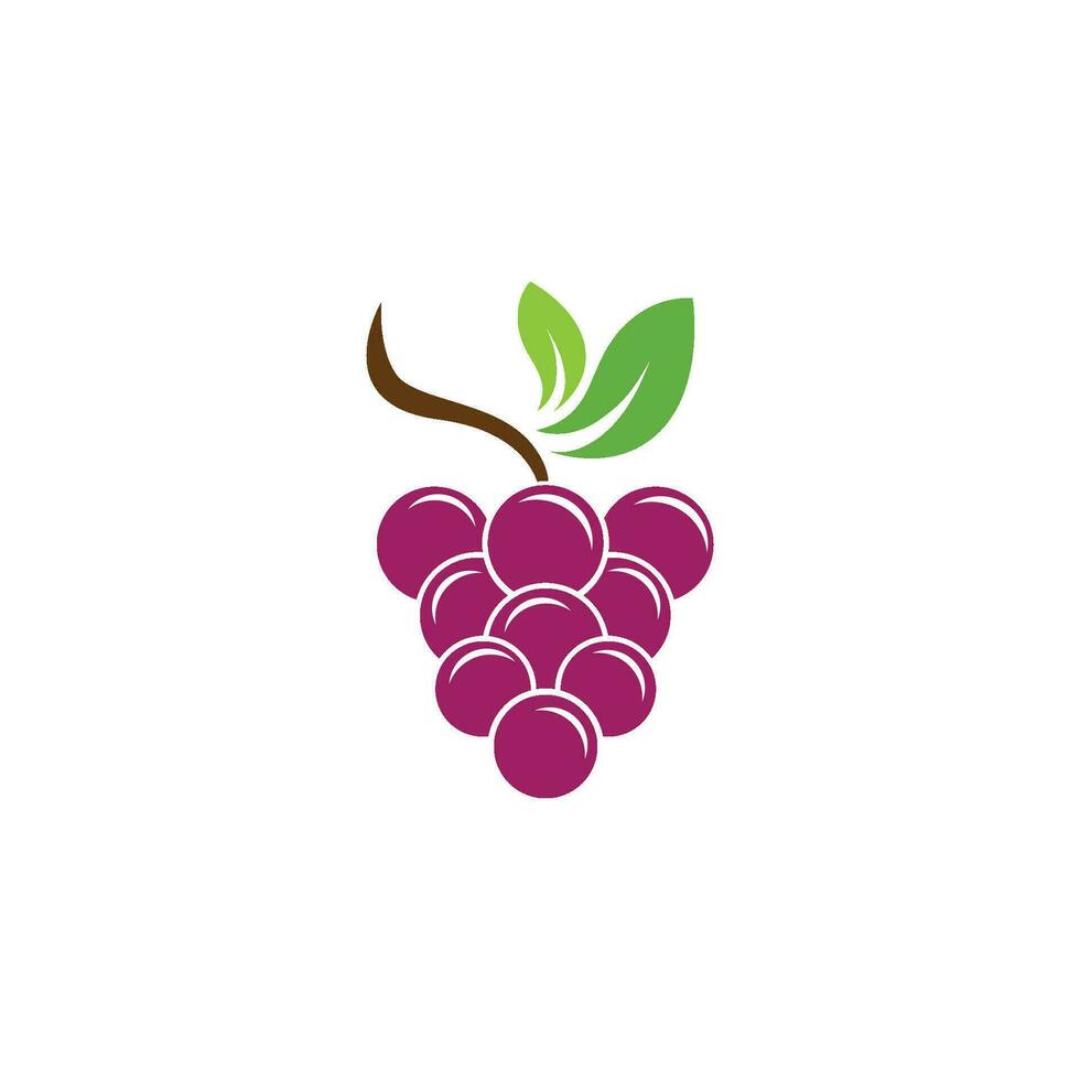 Grapes vector icon illustration design