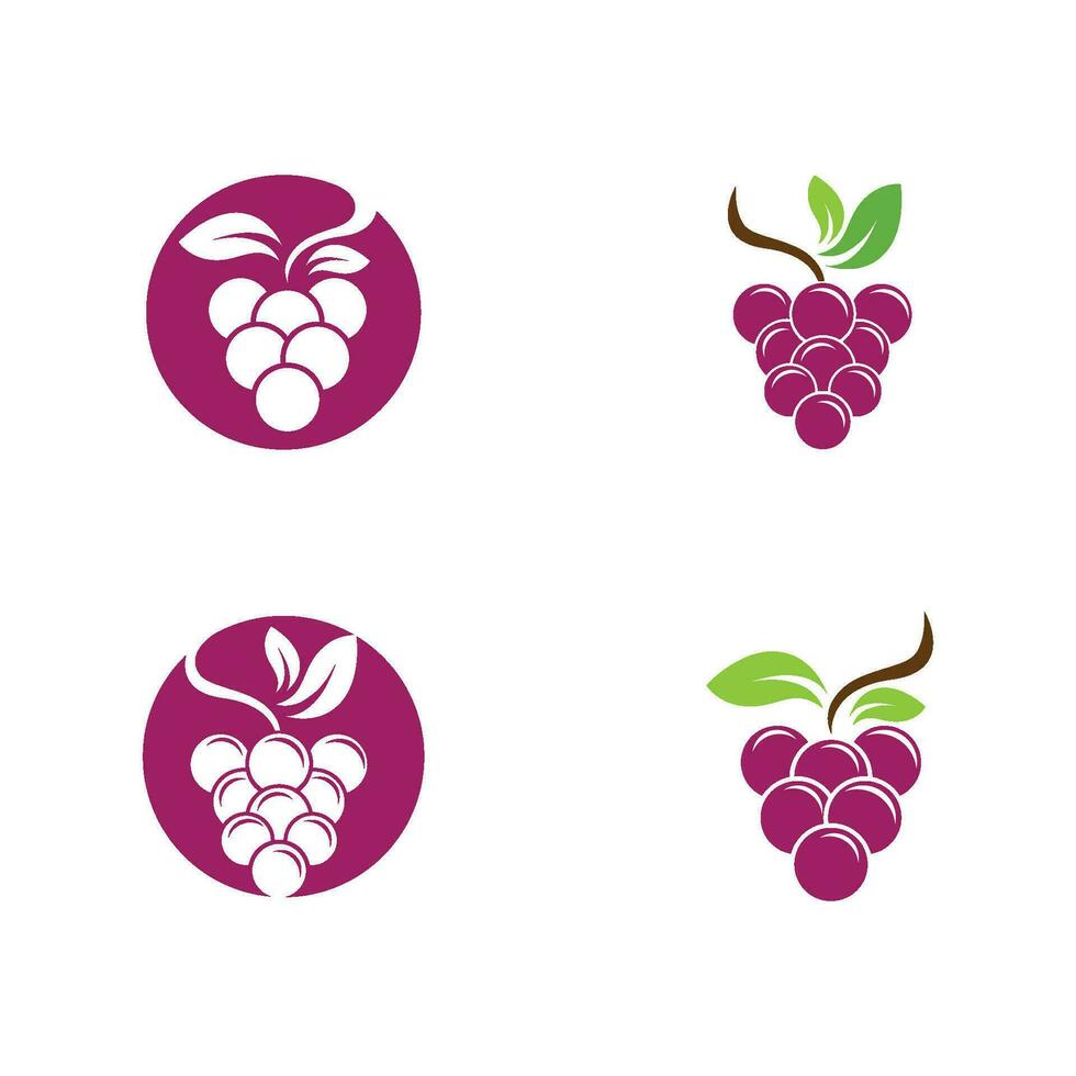 Grapes vector icon illustration design