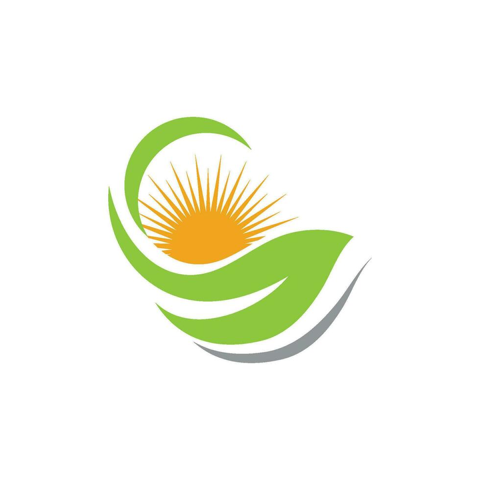 Logos of green Tree leaf ecology vector