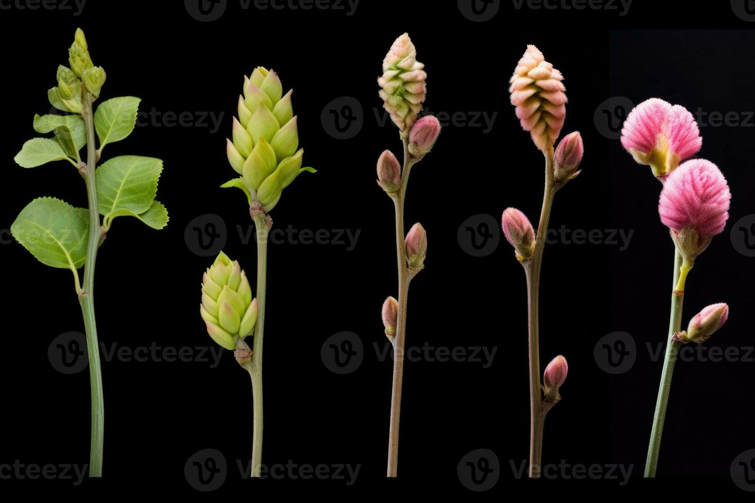 AI Generated Spring bright closeup macro beauty foliage summer blooming garden flower background photo