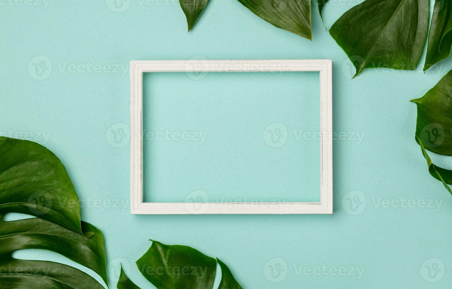 Monstera Leaf, Tropical Botanical Plant in Stylish Decorative Design Isolated on Empty Background photo