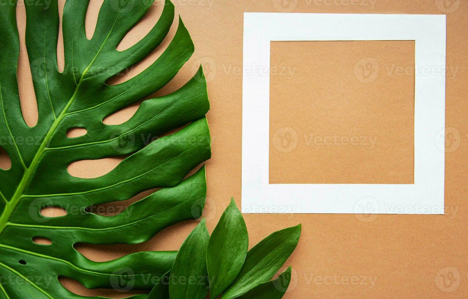 Monstera Leaf, Tropical Botanical Plant in Stylish Decorative Design Isolated on Empty Background photo