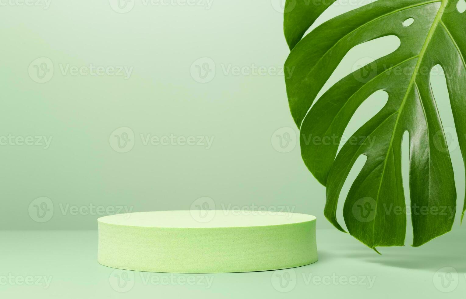 Monstera Leaf, Tropical Botanical Plant in Stylish Decorative Design Isolated on Empty Background photo