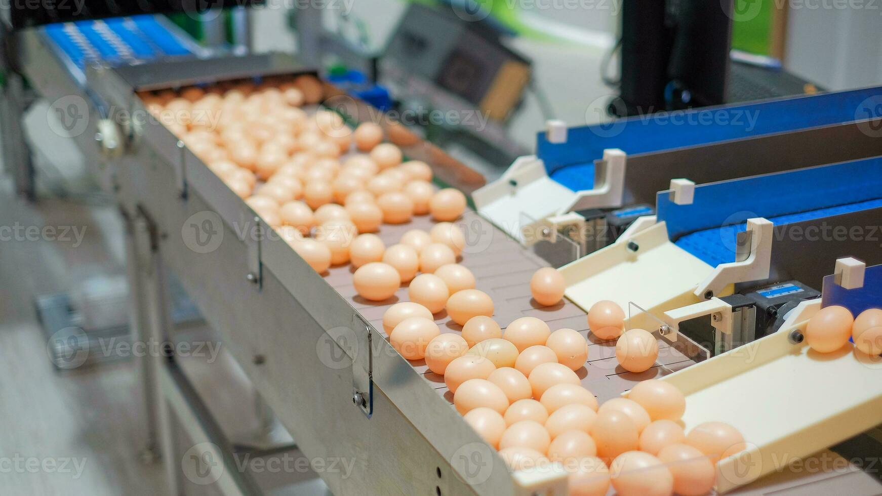 Closeup Machinery separating the size of chicken eggs. photo