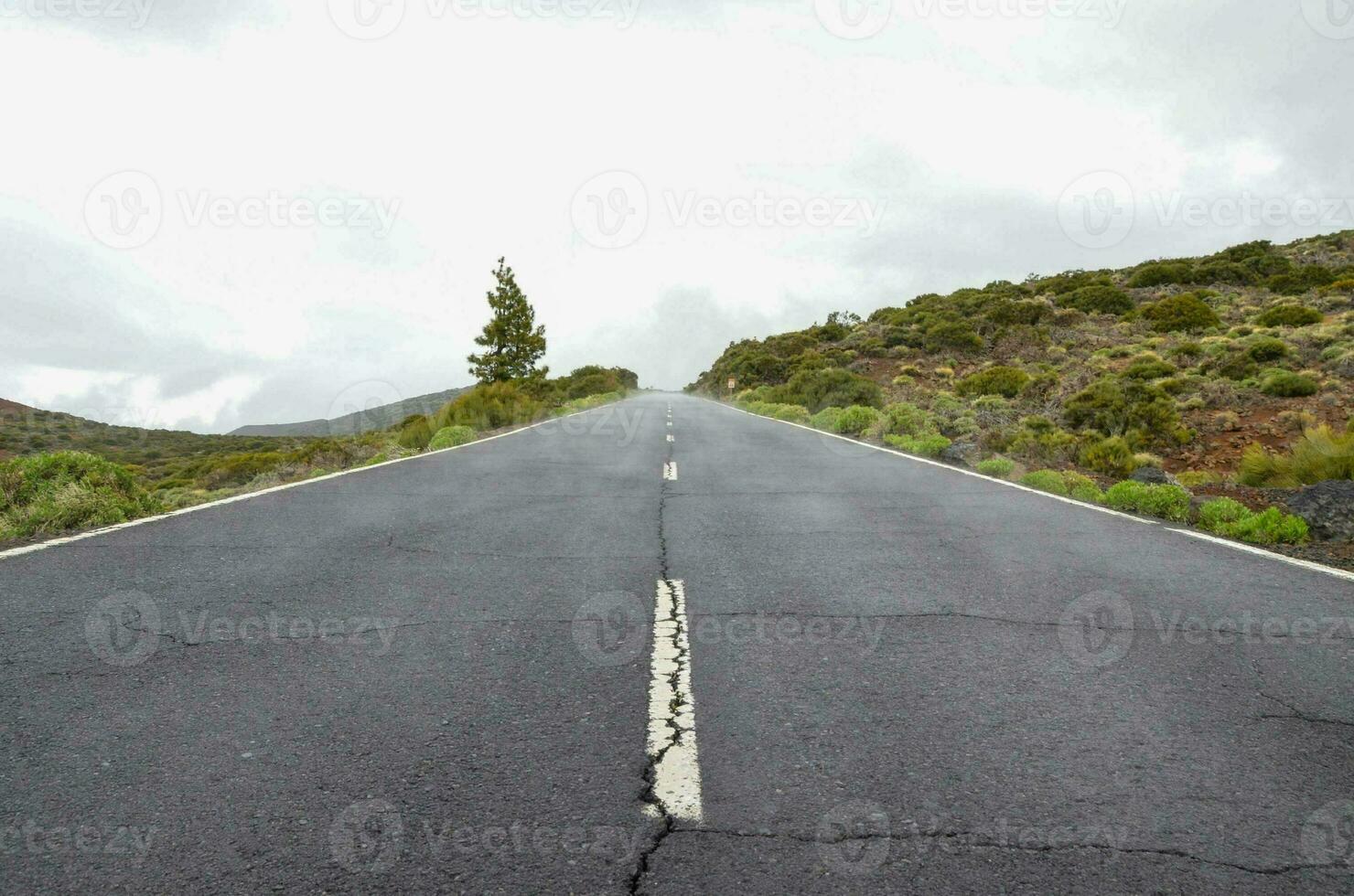 an empty road with white lines on it photo