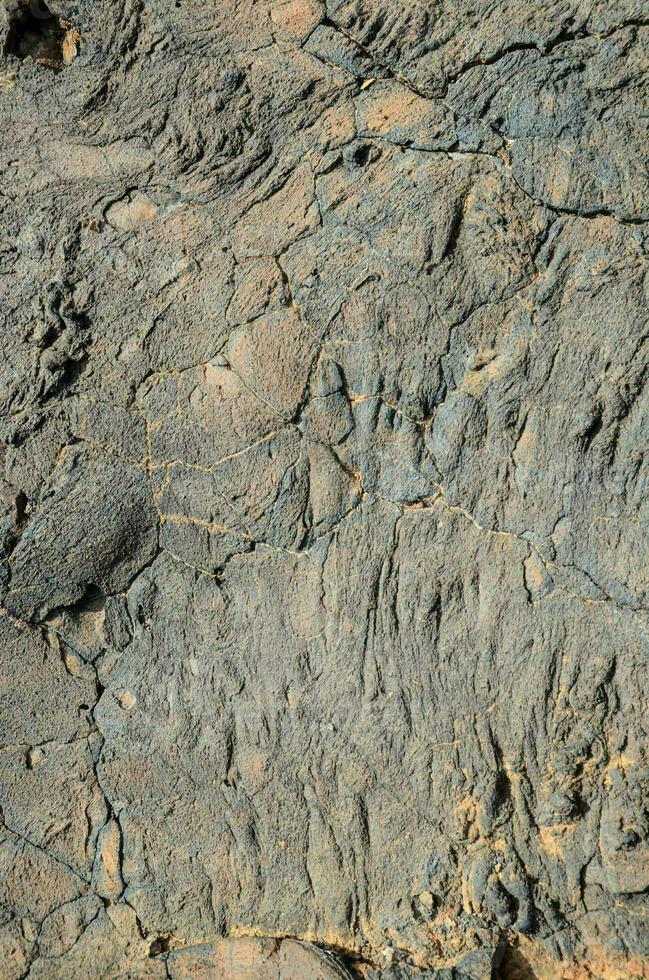 a close up of a rock face photo