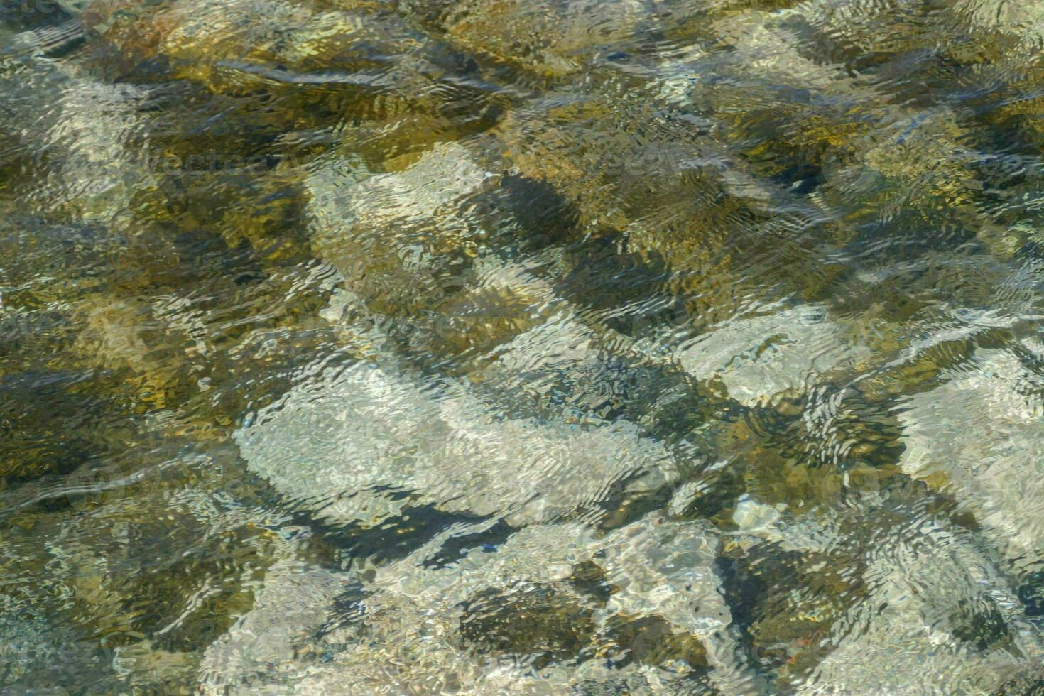 the water is clear and the rocks are covered in algae photo