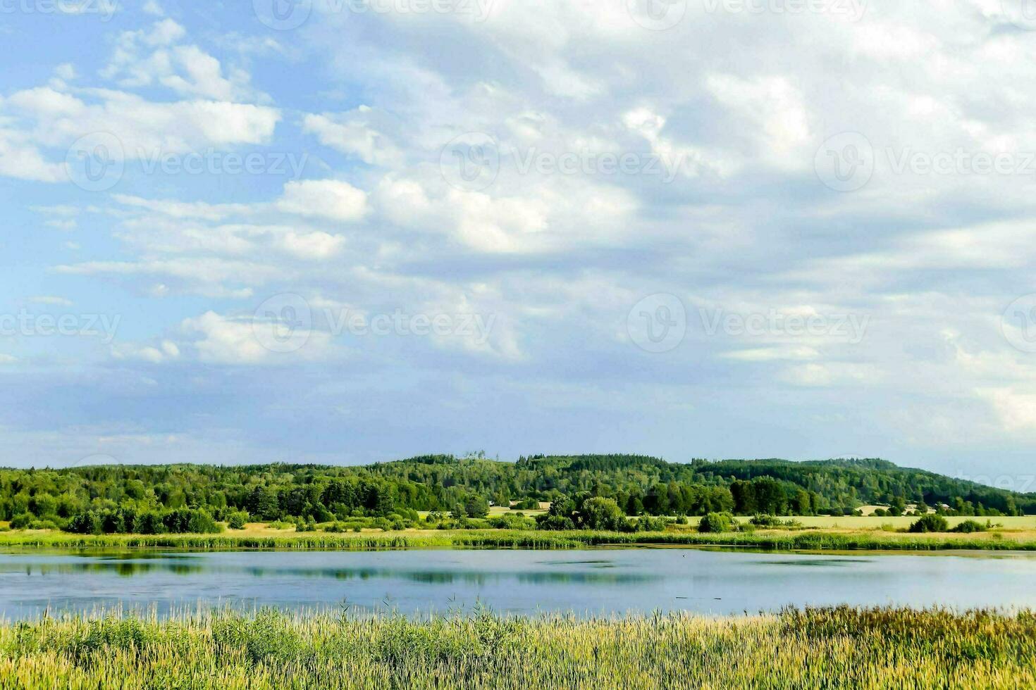 a lake surrounded by grass and trees photo