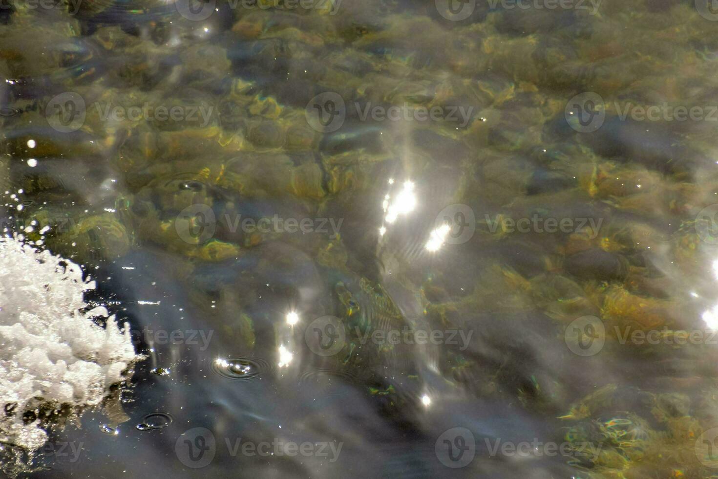 a close up of clear water with rocks photo