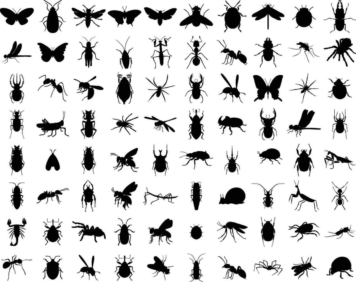 Big set of insects silhouettes. Vector illustrations isolated on white background