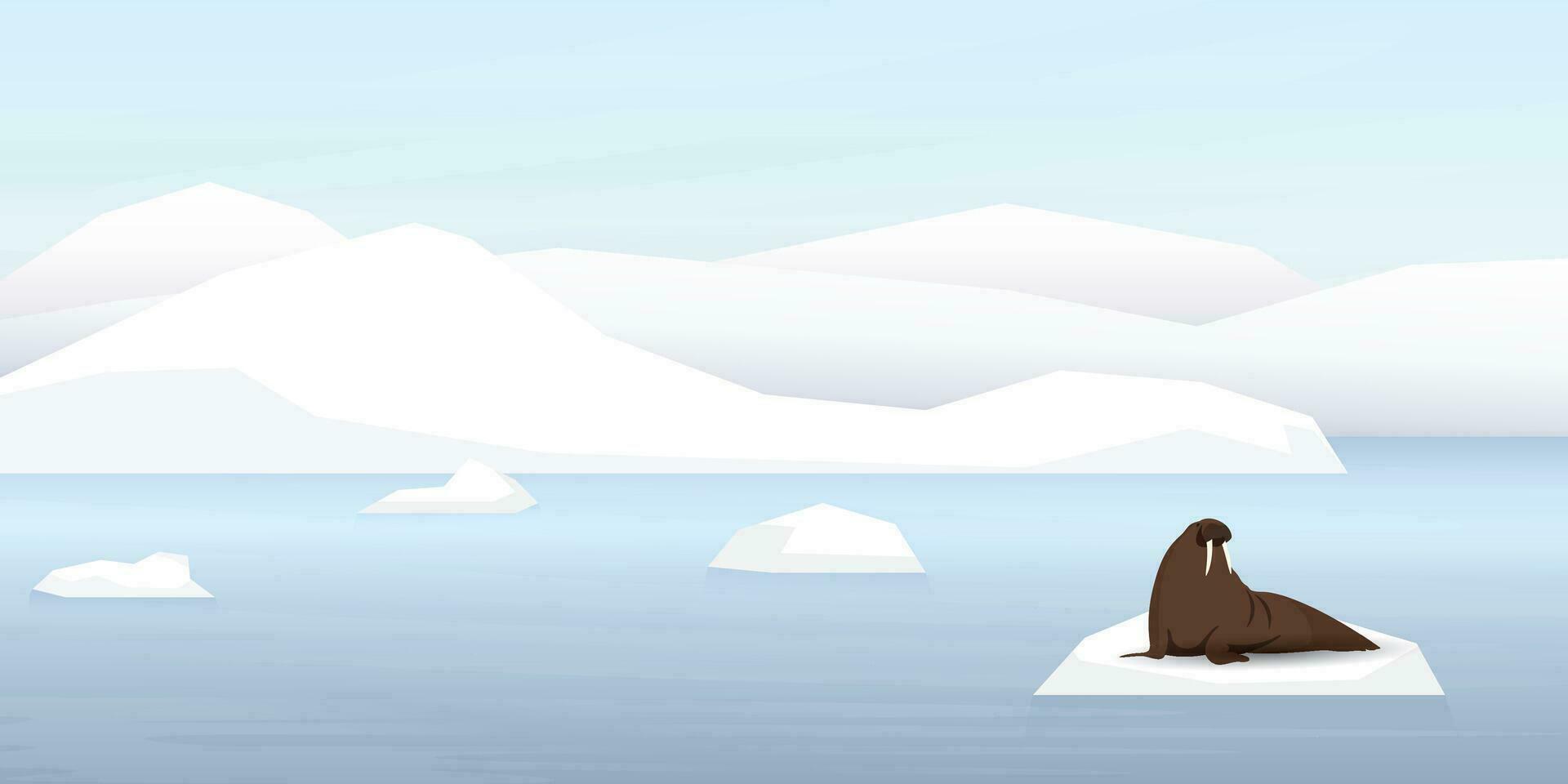 Walrus on ice floe with coastal and iceberg behind vector illustration. Snow landscape concept have blank space.