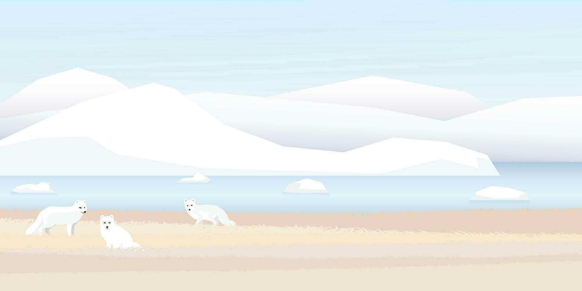 Arctic Fox family in tundra with coastal and iceberg behind vector illustration. Snow landscape concept have blank space.