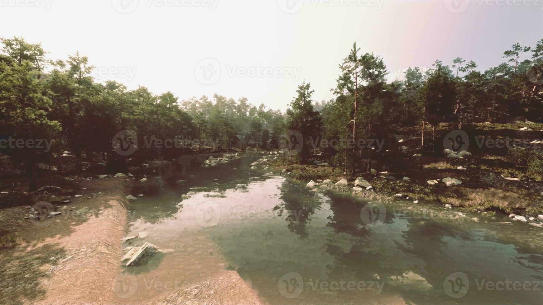 A river running through a forest filled with trees photo