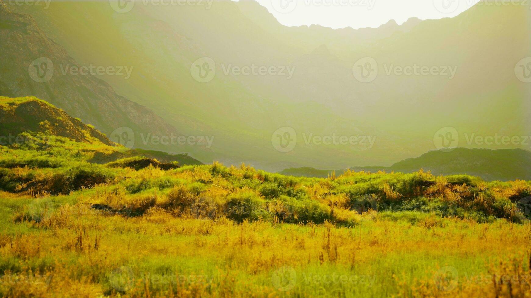 rugged arid mountain landscape with sparse vegetation and many rocks photo