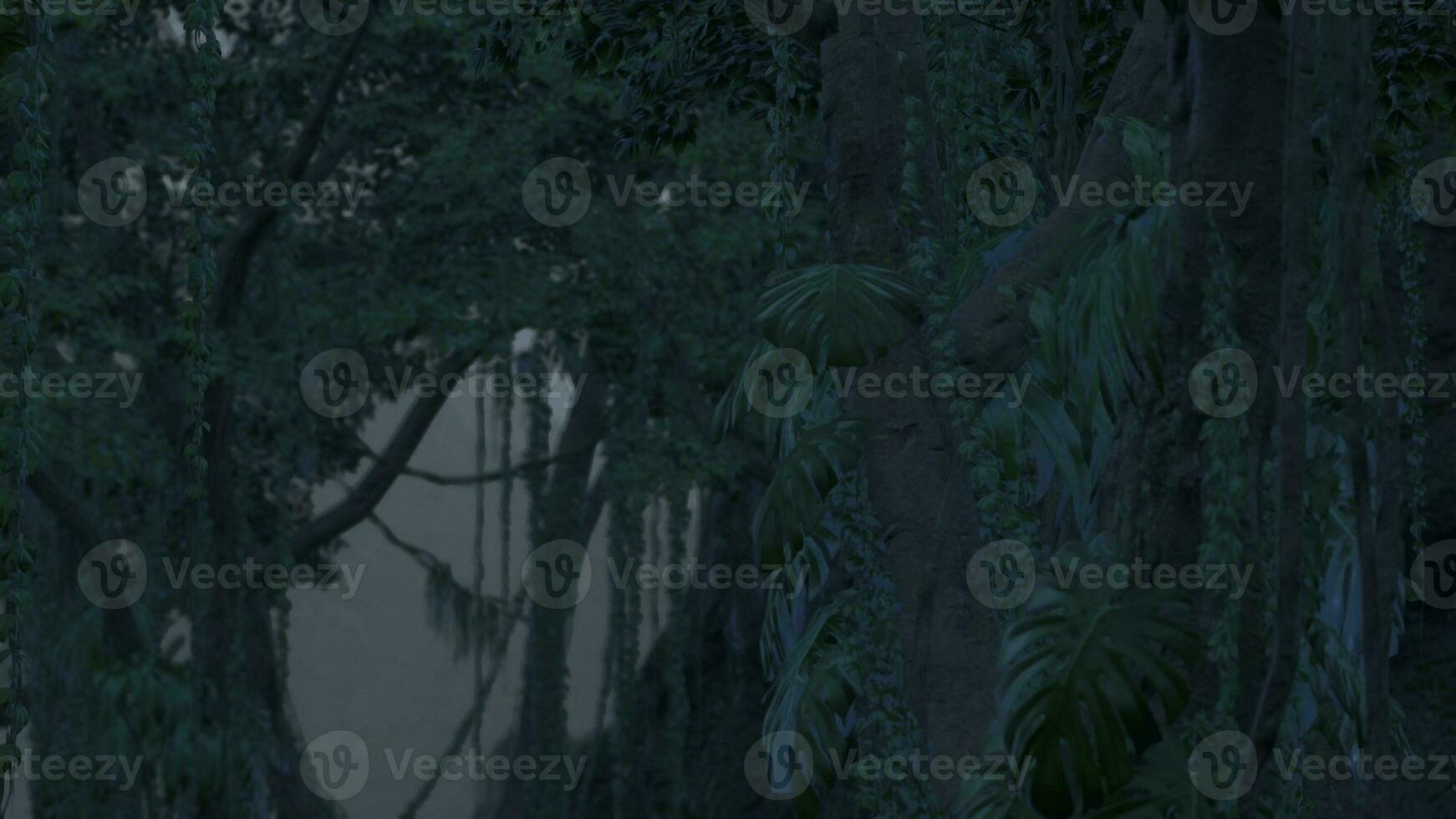 Roots of exotic trees with thicket of shrubs and ferns against sunlight photo